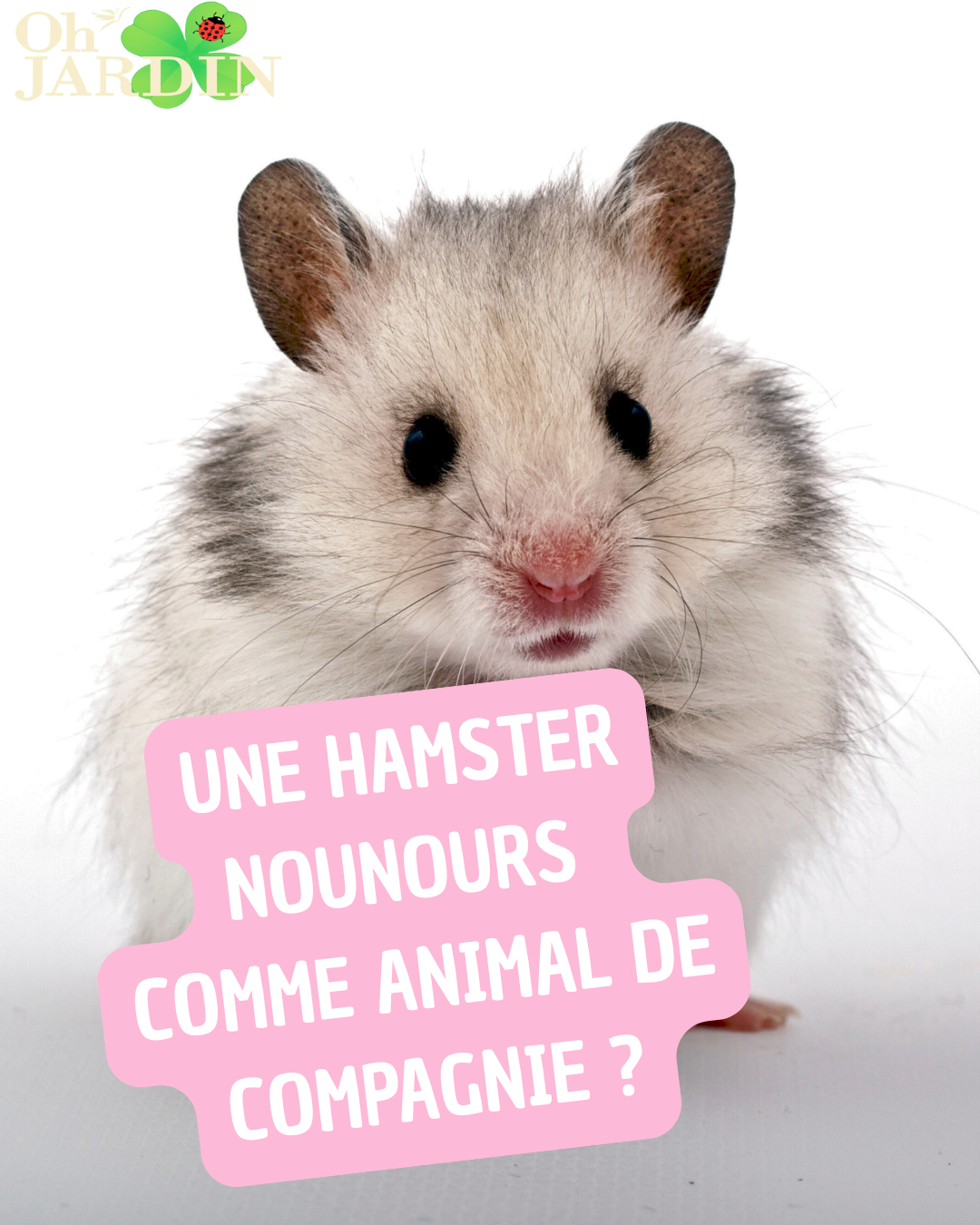 Copie de Une souris comme animal de compagnie (3)
