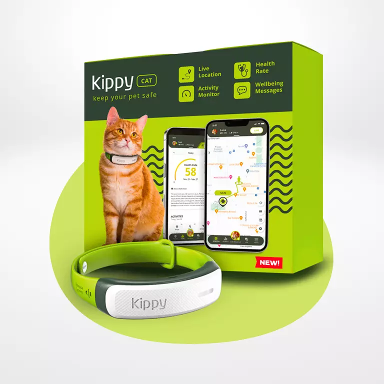 KippyCat-6