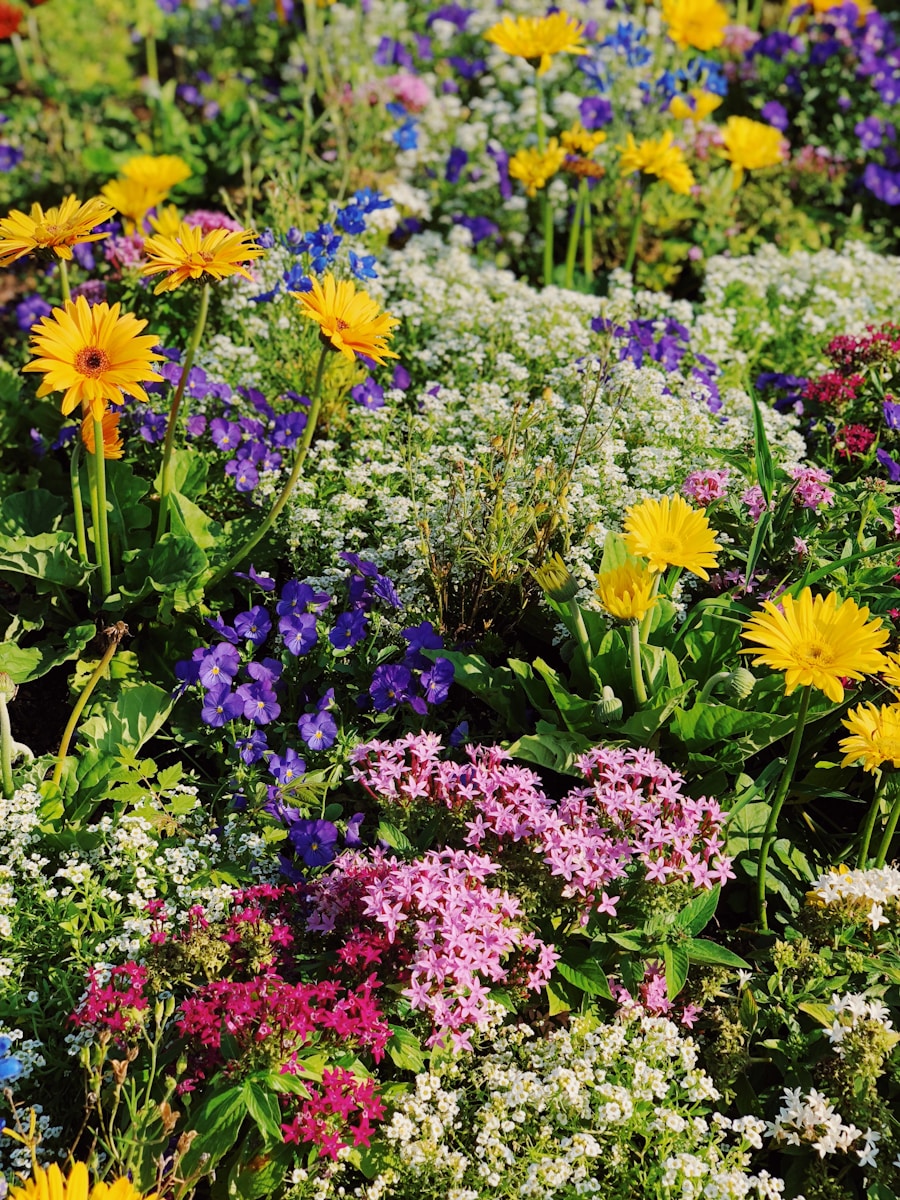 Photo by Avery Thomas flowers field