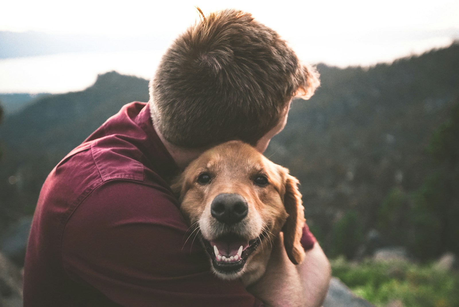 Photo by Eric Ward photo of man hugging tan dog