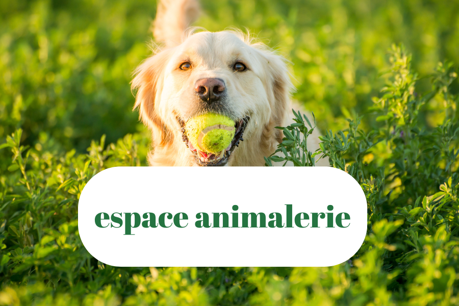 Copie de Post Facebook Fin de série Soldes promotion Vêtement Esthétique SimpleMinimaliste Professionnel blanc (Étiquette (paysage)) (2)